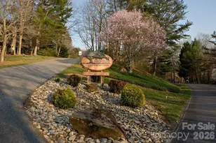 305 Piney Mountain Dr, Asheville, NC 28805 - Photo 33