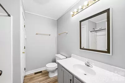 205 Mint Way, Flat Rock, NC 28731 - Photo 19