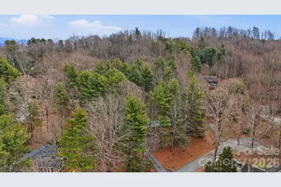 205 Mint Way, Flat Rock, NC 28731 - Photo 29