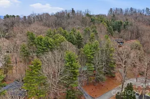205 Mint Way, Flat Rock, NC 28731 - Photo 29