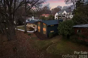 823 Wingrave Dr, Charlotte, NC 28270 - Photo 39