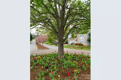 50 Park Avenue, Asheville, NC 28803 - Photo 45