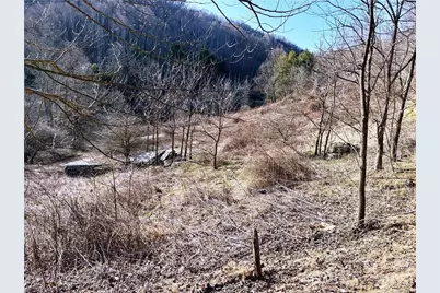 Tbd Willard Johnson Road, Vilas, NC 28692 - Photo 3