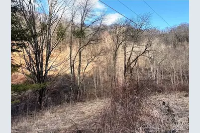 Tbd Willard Johnson Road, Vilas, NC 28692 - Photo 7