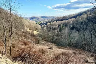 Tbd Willard Johnson Rd, Vilas, NC 28692 - Photo 1