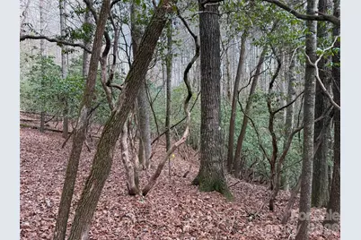 Tbd Cherrywood Lane #L-12, Pisgah Forest, NC 28768 - Photo 5