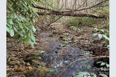 Tbd Cherrywood Lane #L-12, Pisgah Forest, NC 28768 - Photo 11