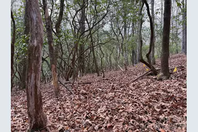 Tbd Cherrywood Lane #L-12, Pisgah Forest, NC 28768 - Photo 7