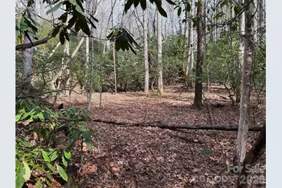 Tbd Cherrywood Lane #L-12, Pisgah Forest, NC 28768 - Photo 13