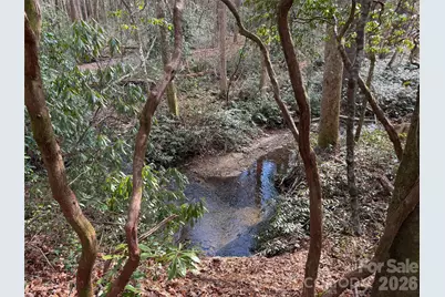 Tbd Cherrywood Lane #L-12, Pisgah Forest, NC 28768 - Photo 1