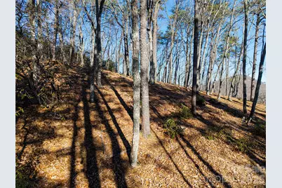 92 Smokey Ridge Trail, Arden, NC 28704 - Photo 17