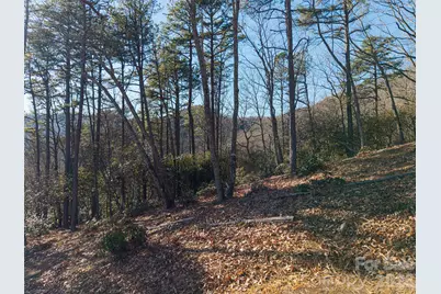 92 Smokey Ridge Trail, Arden, NC 28704 - Photo 3