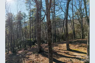 92 Smokey Ridge Trail, Arden, NC 28704 - Photo 5