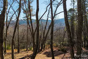 92 Smokey Ridge Trail, Arden, NC 28704 - Photo 1