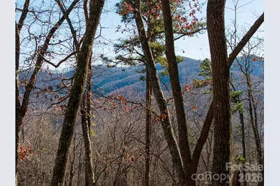 92 Smokey Ridge Trail, Arden, NC 28704 - Photo 3