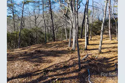 92 Smokey Ridge Trail, Arden, NC 28704 - Photo 5