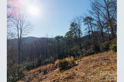 92 Smokey Ridge Trail, Arden, NC 28704 - Photo 11