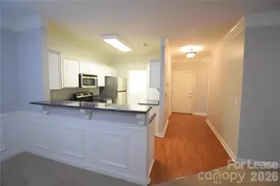 16423 Golden River Ln, Charlotte, NC 28277 - Photo 9