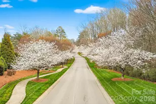 407 Blue Bay Ct., York, SC 29745 - Photo 47