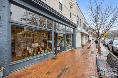 233 Twain Avenue, Davidson, NC 28036 - Photo 35