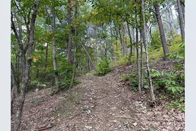 0 Hildebran Mountain Avenue, Connelly Springs, NC 28612 - Photo 21