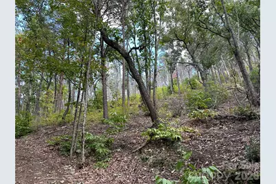 0 Hildebran Mountain Avenue, Connelly Springs, NC 28612 - Photo 19