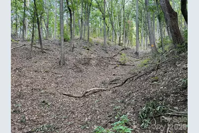 0 Hildebran Mountain Avenue, Connelly Springs, NC 28612 - Photo 3