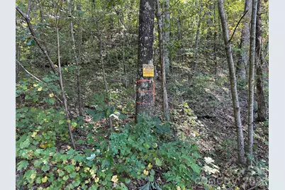 0 Hildebran Mountain Avenue, Connelly Springs, NC 28612 - Photo 31