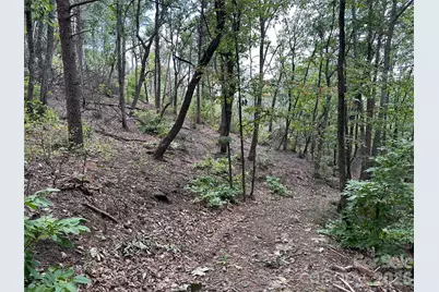 0 Hildebran Mountain Avenue, Connelly Springs, NC 28612 - Photo 11