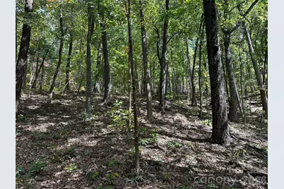 0 Hildebran Mountain Avenue, Connelly Springs, NC 28612 - Photo 15