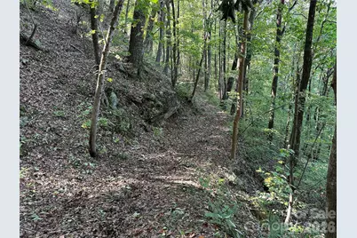 0 Hildebran Mountain Avenue, Connelly Springs, NC 28612 - Photo 29