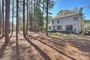 18802 Pentwater Ct, Cornelius, NC 28031 - Photo 47