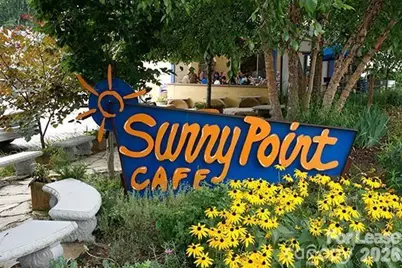 41 Mildred Avenue, Asheville, NC 28806 - Photo 17