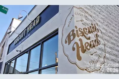 41 Mildred Avenue, Asheville, NC 28806 - Photo 19