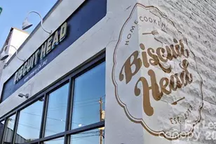 41 Mildred Ave, Asheville, NC 28806 - Photo 19