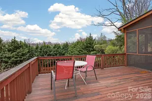 56 Whitney Ave, Tryon, NC 28782 - Photo 23