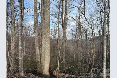 0 White Fawn Drive, Spruce Pine, NC 28777 - Photo 3