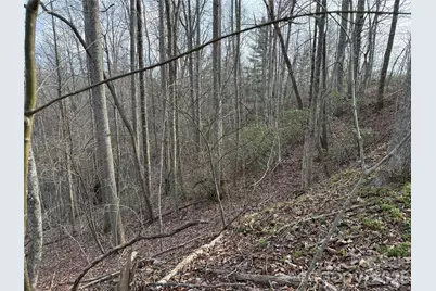 0 White Fawn Drive, Spruce Pine, NC 28777 - Photo 7