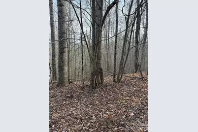 0 White Fawn Drive, Spruce Pine, NC 28777 - Photo 9