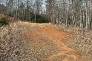 0 White Fawn Dr, Spruce Pine, NC 28777 - Photo 1