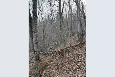 0 White Fawn Drive, Spruce Pine, NC 28777 - Photo 11