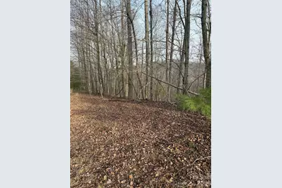 0 White Fawn Drive, Spruce Pine, NC 28777 - Photo 5