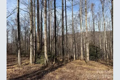 Tbd W Meadows Road, Moravian Falls, NC 28654 - Photo 35