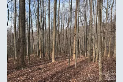 Tbd W Meadows Road, Moravian Falls, NC 28654 - Photo 31