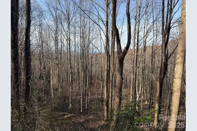 Tbd W Meadows Road, Moravian Falls, NC 28654 - Photo 41