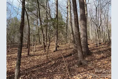 Tbd W Meadows Road, Moravian Falls, NC 28654 - Photo 39