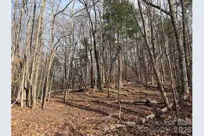 Tbd W Meadows Road, Moravian Falls, NC 28654 - Photo 27