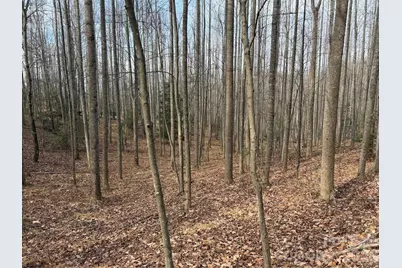 Tbd W Meadows Road, Moravian Falls, NC 28654 - Photo 37