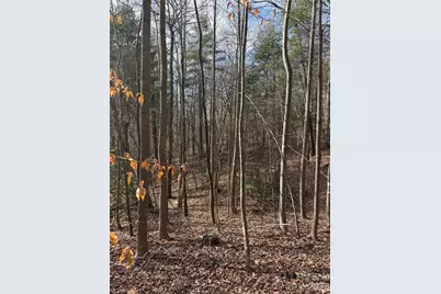 Tbd W Meadows Road, Moravian Falls, NC 28654 - Photo 21