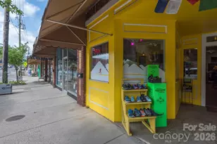 311 Lake Oak Dr, Black Mountain, NC 28711 - Photo 39